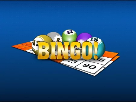 Winnitt voegt online bingo toe aan het spelaanbod