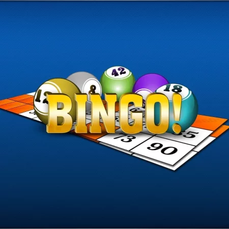 Winnitt voegt online bingo toe aan het spelaanbod